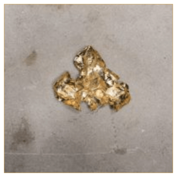 Broche Colgante Nenufar