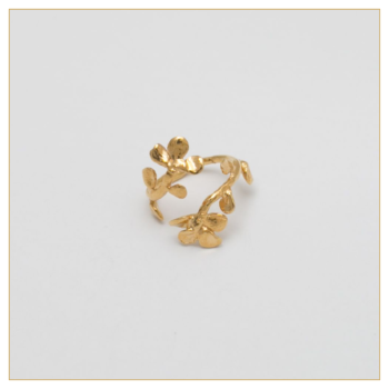 Anillo "Ramito Tú y Yo" bañado en oro