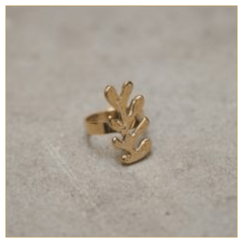 ANILLO MS RAMA 02