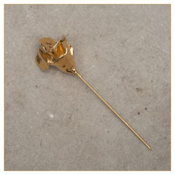 PINCHO ROSA