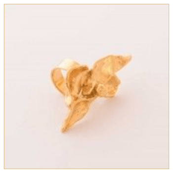 Anillo "RAMITA" bañado en Oro