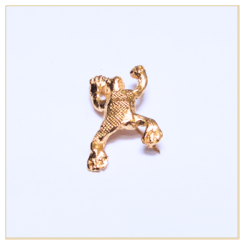 BROCHE Y COLGANTE LA RANA "VALENTINA"